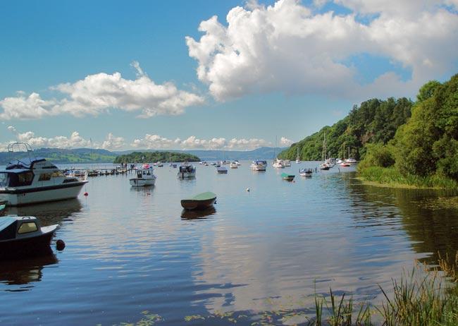 Dog Friendly Hotels Near Loch Lomond Dog Friendly Hotels Near Loch Lomond