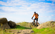 Laggan Wolftrax