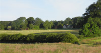 The Whitmuir Estate