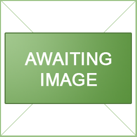 Awaiting Image Awaiting Image