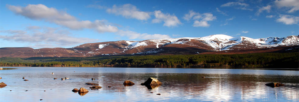 Highland Scotland Holiday Cottages Unique Cottages