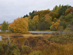 Insh Marshes Nature Reserve Insh Marshes Nature Reserve