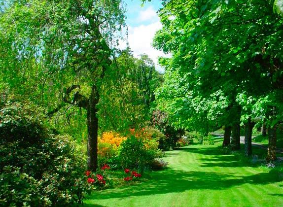 Dunblane Stirlingshire Scotland Holiday Home With A View Dunblane Stirlingshire Scotland Holiday Home With A View