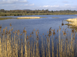 RSPB Loch Kinnordy RSPB Loch Kinnordy