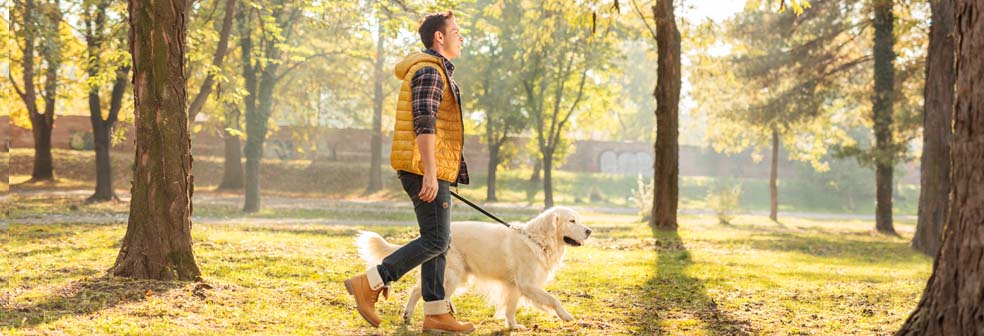 man walking dog banner.jpg man walking dog banner.jpg