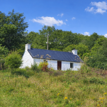 The Old Croft House