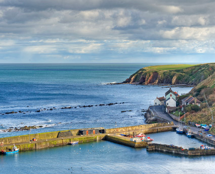 The Old Lobster House The Old Lobster House